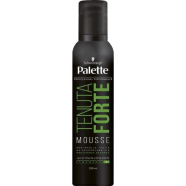 PALETTE MOUSSE TENUTA FORTE 250ML